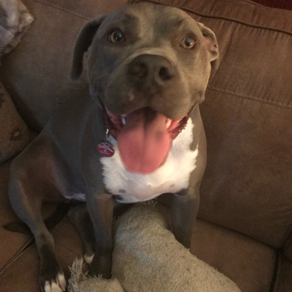 Meet your Posher, Christine - Picture 4 of 16